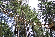 Hoch oben in den Bäumen führen Stege von Gipfel zu Gipfel (Foto: Marikka-Laila Maisel)